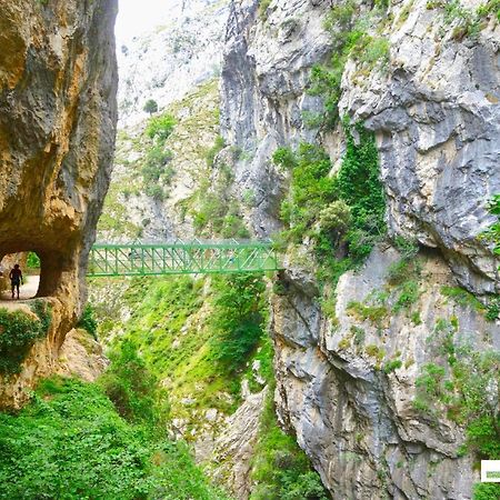 Гостевой дом Casas Rurales De Каин Экстерьер фото